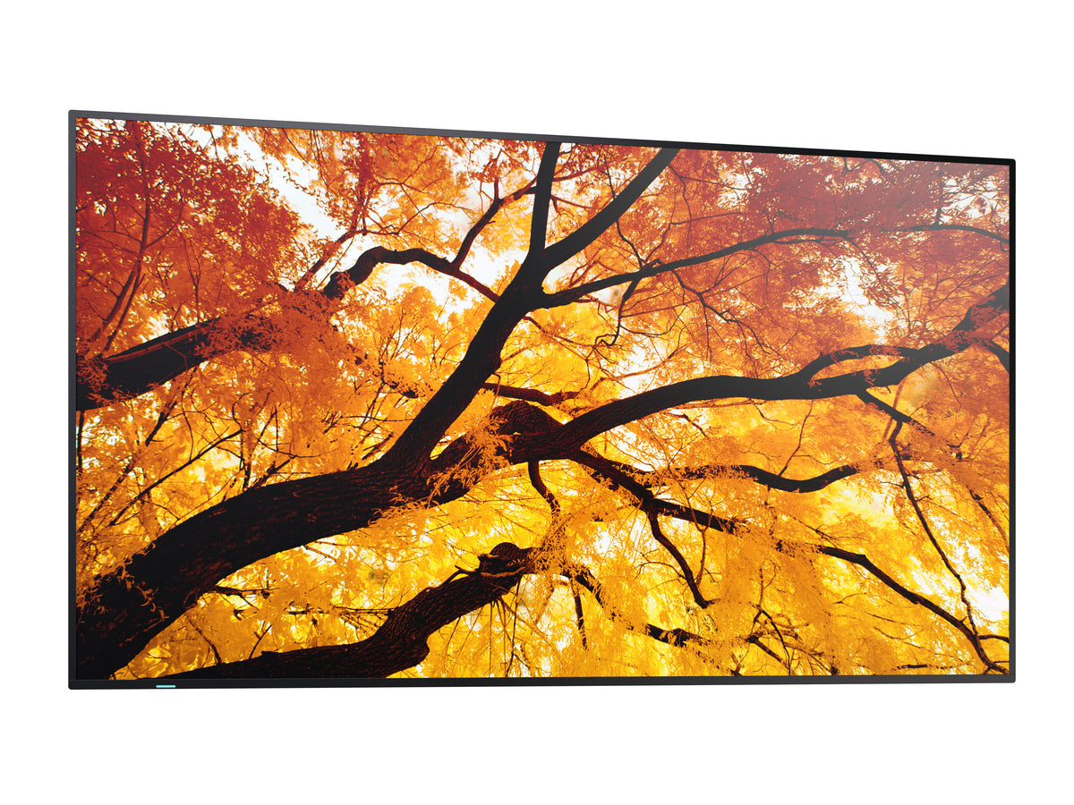 Sharp MultiSync M552 PN-M552 Pantalla UHD 4K de 55 pulgadas
