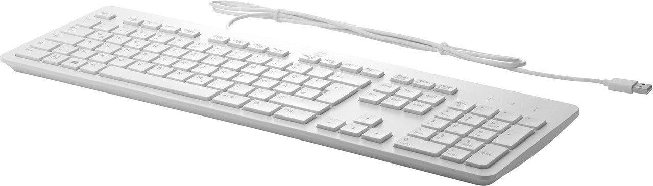 Kb I HP USB Business Slim Gris <tc>QWERTY</tc> Número de serie estadounidense 911503-L31