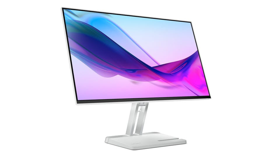LENOVO Monitor L24I-4A 24" LED grijs 67BCKAC6EU