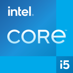 DELL Pro QCM1250 Intel® Core™ i5 i5-14500T 16 GB DDR5-SDRAM 512 GB SSD Windows 11 Pro Micro PC Mini PC Zwart