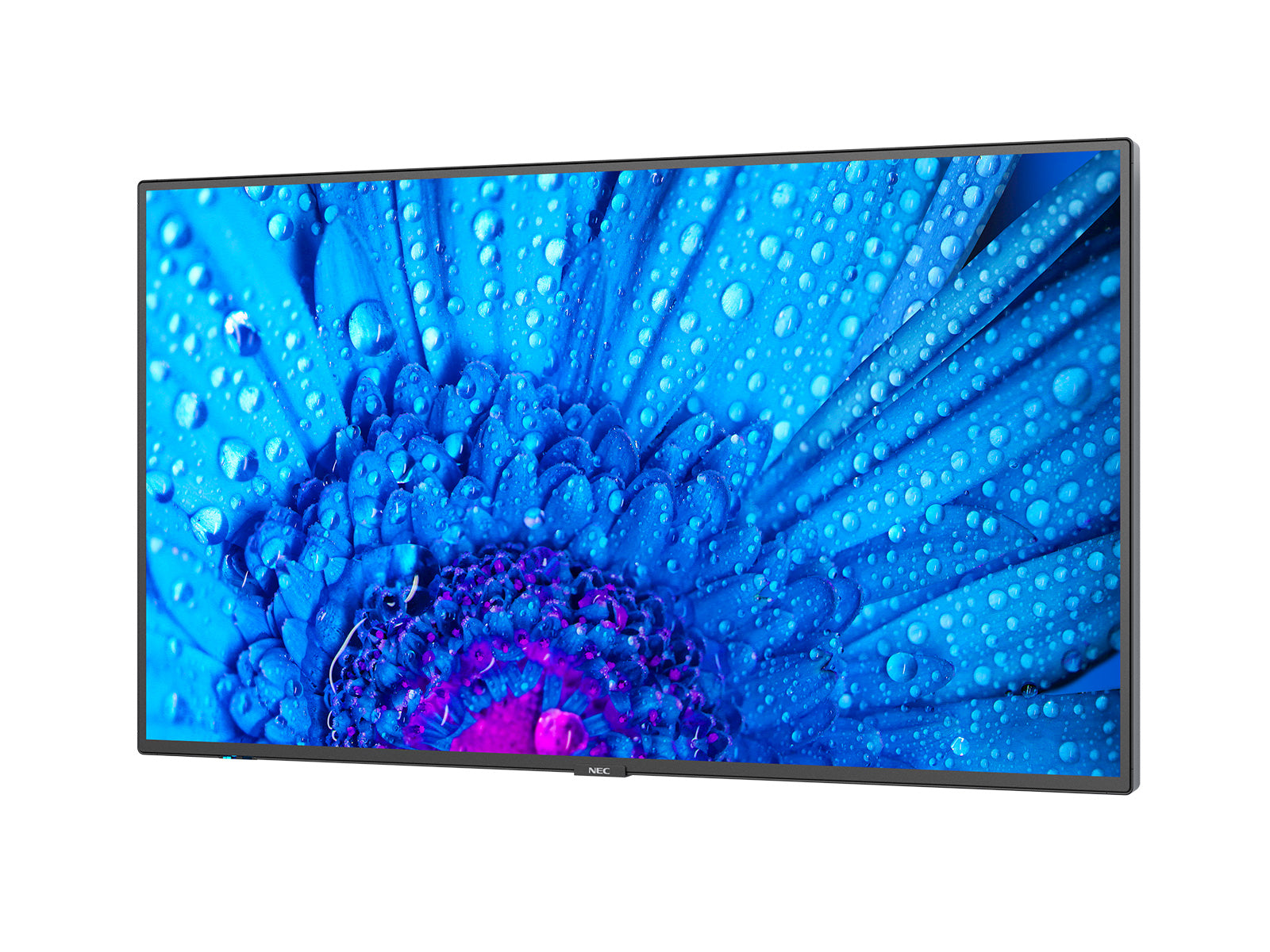 NEC MultiSync M491 Digital signage flat screen 124.5 cm (49") IPS 500 cd/m² 4K Ultra HD Black 24/7