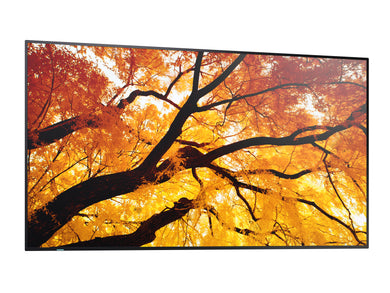 Sharp MultiSync M552 PN-M552 Pantalla UHD 4K de 55 pulgadas