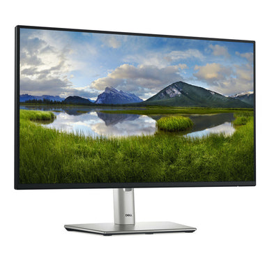 Dell P2425H 24-inch Full HD Monitor with IPS Panel and 100Hz